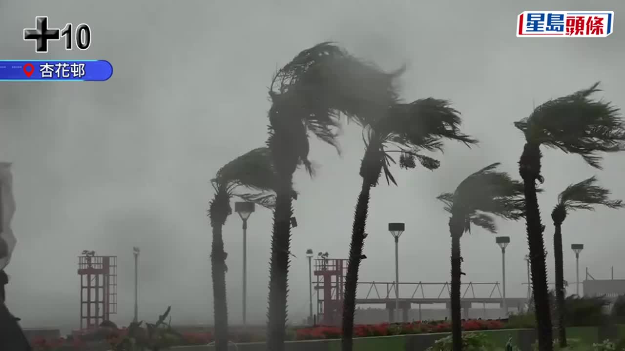 十号风球生效，香港天文台：下午4时10分改发八号烈风或暴风信号- 星岛环球网